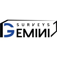 Gemini Surveys logo - Similar company to Db Marine