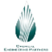 Chemical Engineering Partners