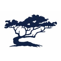 Cypress Point Capital logo - Similar company to Regency Capital