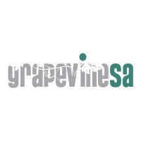 GrapeVine SA logo - Similar company to Grapevine Interactive
