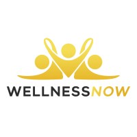 WellnessNOW logo - Similar company to Ourluis