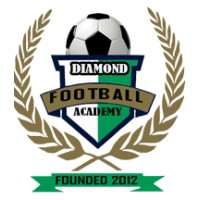 Diamond Football Academy logo - Similar company to Gametime Athletics