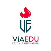 ViaEdu Study Abroad logo - Similar company to Town Edu | Yurt Dışı Eğitim Danışmanlığı