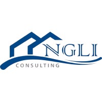 Ngli Consulting logo - Similar company to Credibility Titans