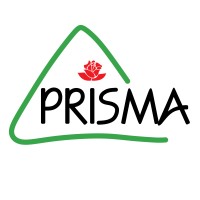 Flores Prisma S.A logo - Similar company to Florval S.A.