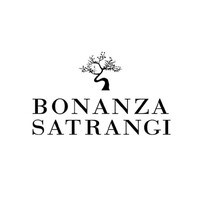 Bonanza Satrangi Fashion logo - Similar company to Revival