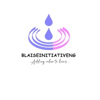 Blaiseinitiativeng logo - Similar company to Finaltouchgraphicx