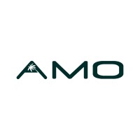 AMO WORLD logo - Similar company to Blue Square Partners