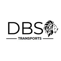 DBS logo - Similar company to Bricop