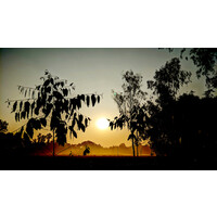 Shadequl Islam Photography logo - Similar company to Riverview Photography