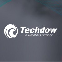 TECHDOW PHARMA ITALY SRL logo - Similar company to Xpharma 🇨🇴