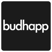 Budhapp logo - Similar company to Deepfi