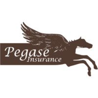 Pegase Insurance logo - Similar company to Opus Coffee