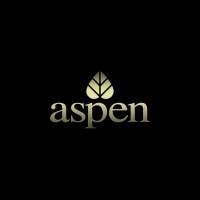 Aspen Services Group logo - Similar company to Spryder Technologies