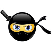 Ninja Code Company - Software Developers logo - Similar company to Ninja Code Academy