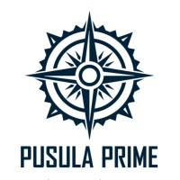 Pusula Prime logo - Similar company to Pusula Plus İnsan Kaynakları Ve Bilişim