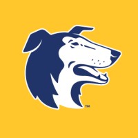 Dog Guard Out of Sight Fencing logo - Similar company to Wall Fellows Program