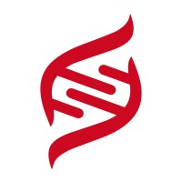 Renaissance Laser logo - Similar company to Ot-Las Srl
