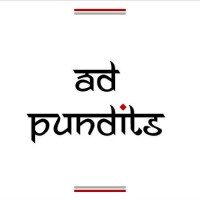 Ad Pundits logo - Similar company to Wealthmonitor