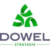 Dowel Stratégie logo - Similar company to Set Concept