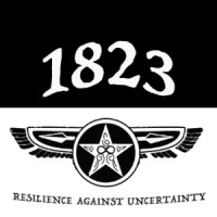 1823 - The Strategic Protection Provider logo - Similar company to Ranglur