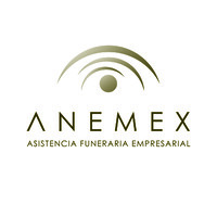 Anemex logo - Similar company to Ahio