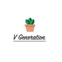 V Generation Ltd