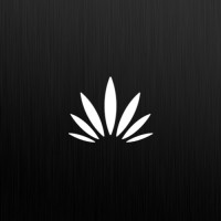 Cannabis Society of Massachusetts, Inc. logo - Similar company to Massachusetts Cannabis Association For Delivery (Mcad)