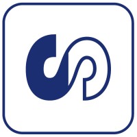 Silicon Solutions logo - Similar company to Custom Silicon Solutions