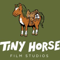 Tiny Horse Film Studios logo - Similar company to Sensity Studio