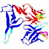 Protein Design Pvt. Ltd. logo - Similar company to Bioscan Research