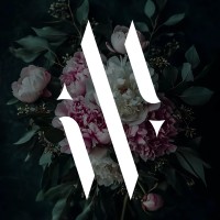 Madison & Wolfe logo - Similar company to Intent*