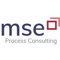 mse Process Consulting LLC logo - Similar company to Dr.Wolff, Seyler & Partner I Advisors In Finance And Healthcare