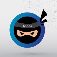 Network Ninjas Academy logo - Similar company to Network Ninja