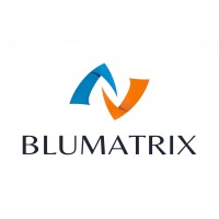 Blumatrix Pro AV Integrators logo - Similar company to Infinian Technology Pvt Ltd