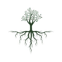 Vyrdia logo - Similar company to Edocs Technologies, Llc