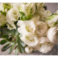 Soulflower Design Studio