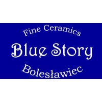 Blue Story logo - Similar company to Bleu Story