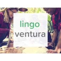 Lingo Ventura GmbH logo - Similar company to Pj Partners (Pjp)