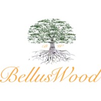 BellusWood Oy logo - Similar company to Selda