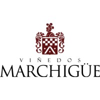 Viñedos Errazuriz Ovalle S.A logo - Similar company to Errazuriz Inversiones