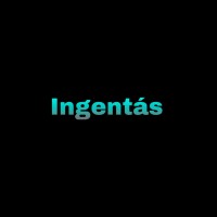 The Ingentás Corp.