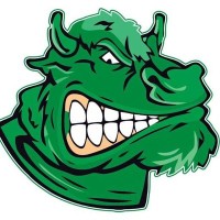 Sakarya Tatankaları logo - Similar company to Powerstrength Training Systems