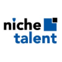 . logo - Similar company to Niche Talent.