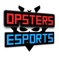 Opsters eSports logo - Similar company to Introprotect - Barry Cullen, The Recruitment Fee Dispute & Debt Expert