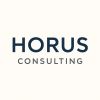 Horus Consulting BA logo - Similar company to Sistemify