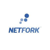 Netfork logo - Similar company to Patternilabs