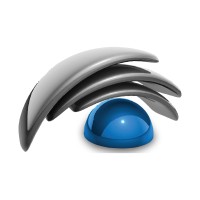 Intelligent Project