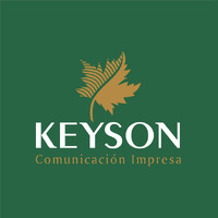 Keyson logo - Similar company to Ignición Empresarial