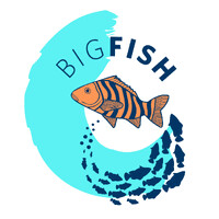 Big Fish Initiative logo - Similar company to Docs In Progress